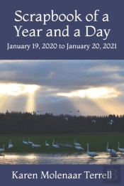 Scrapbook Of A Year And A Day