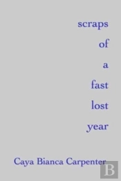 Scraps Of A Fast Lost Year