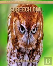 Screech Owl