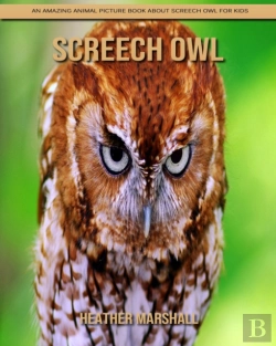 Bertrand.pt - Screech Owl