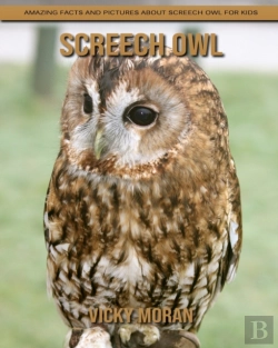 Bertrand.pt - Screech Owl