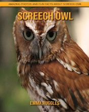 Screech Owl