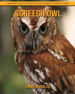 Bertrand.pt - Screech Owl