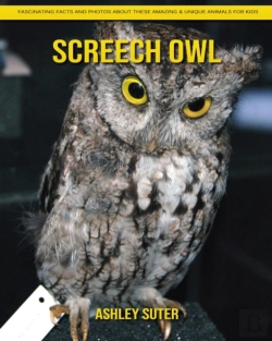 Bertrand.pt - Screech Owl