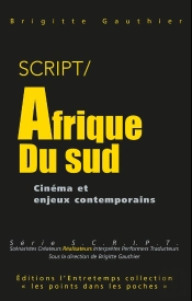 S.C.R.I.P.T. : Afrique Du Sud ; Cinéma Et Enjeux Contemporains