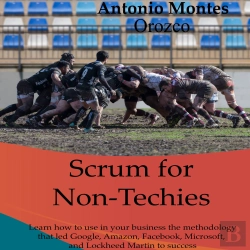 Bertrand.pt - Scrum For Non-Techies