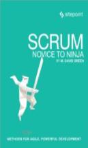 Scrum - Novice To Ninja