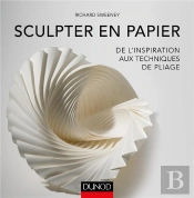 Sculpter En Papier - Inspiration Et Techniques De Pliage