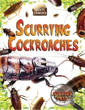 Scurrying Cockroaches