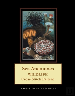 Bertrand.pt - Sea Anemones