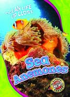 Sea Anemones