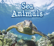 Sea Animals