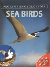 Sea Birdssea World