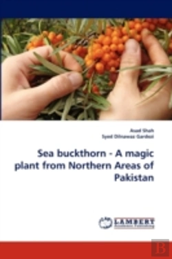 Bertrand.pt - Sea Buckthorn - A Magic Plant From Northern Areas Of Pakistan
