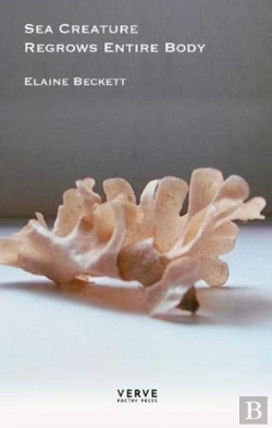 Bertrand.pt - Sea Creature Regrows Entire Body