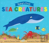 Sea Creatures