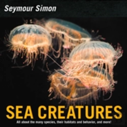 Bertrand.pt - Sea Creatures