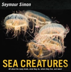 Bertrand.pt - Sea Creatures