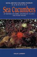 Sea Cucumbers Of British Columbia