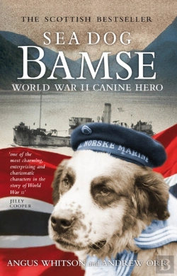 Bertrand.pt - Sea Dog Bamse