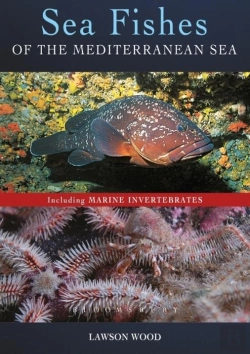 Bertrand.pt - Sea Fishes Of The Mediterranean Including Marine Invertebrates