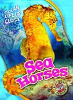 Sea Horses