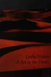 Sea In The Desert