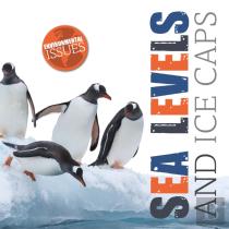 Sea Levels And Ice Caps