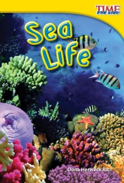 Bertrand.pt - Sea Life