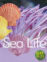 Sea Life