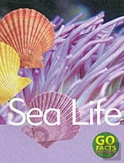 Sea Life