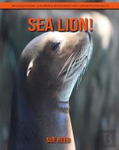 Sea Lion! An Educational Children'S Book About Sea Lion With Fun Facts