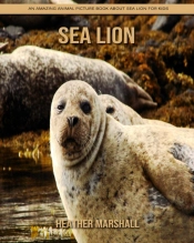 Sea Lion