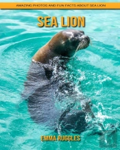 Sea Lion