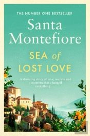 Sea Of Lost Love