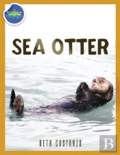 Sea Otter Ages 2-4