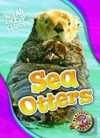 Sea Otters