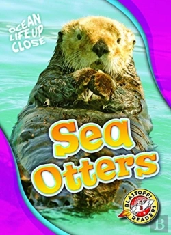 Bertrand.pt - Sea Otters