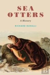 Sea Otters