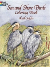 Sea Shore Birds