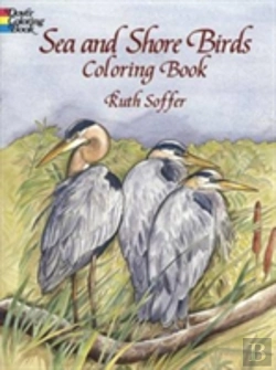 Bertrand.pt - Sea Shore Birds