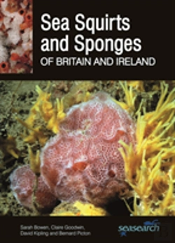 Bertrand.pt - Sea Squirts And Sponges Of Britain And Ireland