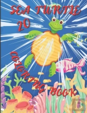 Sea Turtle Coloring Book