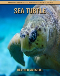 Bertrand.pt - Sea Turtle