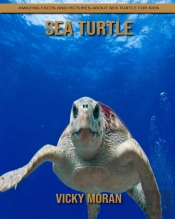 Sea Turtle