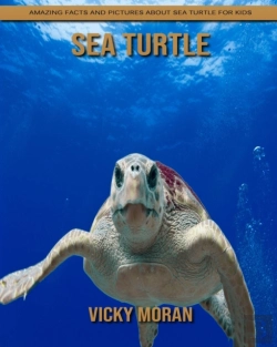 Bertrand.pt - Sea Turtle