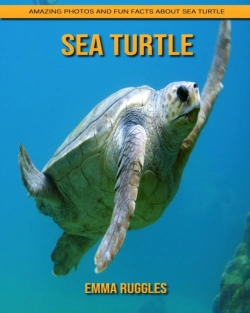 Bertrand.pt - Sea Turtle