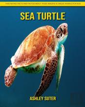 Sea Turtle