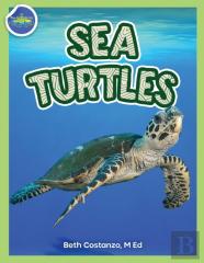 Sea Turtles Activity Workbook Ages 4-8