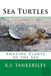 Sea Turtles: Amazing Giants Of The Sea